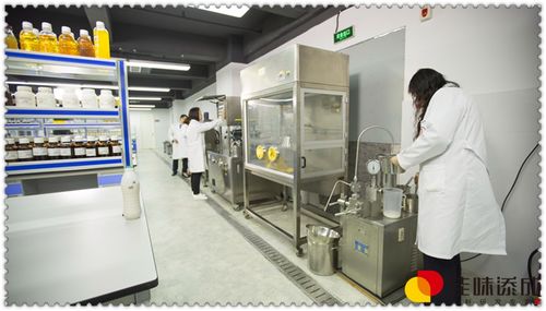 薏米乳保健饮料配方的技术研发与药膳理念融合
